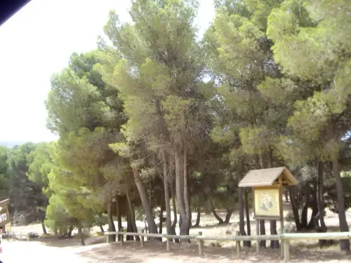 ARUP.-112-Almansa-Olula