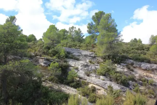 ARUP.-113-Almansa-Barranco-del-Cabezo-del-Moro