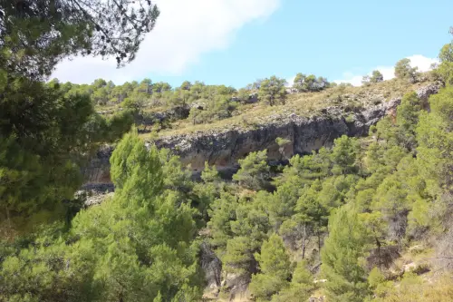 ARUP.-115-Almansa-Barranco-del-Cabezo-del-Moro