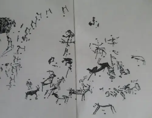 ARUP.-128-Nerpio-Solana-zona-3-centro