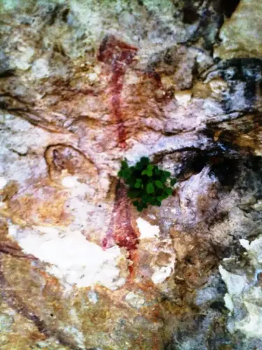 ARUP.-140-Nerpio-Solana-de-las-Covachas