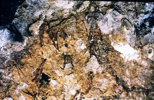 ARUP.-144-Nerpio-Solana-de-las-Covachas