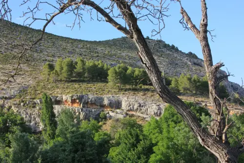ARUP.-173-Nerpio-abrigos-del-Prado-Tornero