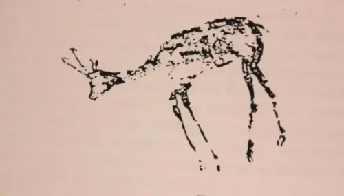 ARUP.-175-Nerpio-gamuza-o-rebeco-en-Prado-del-Tornero