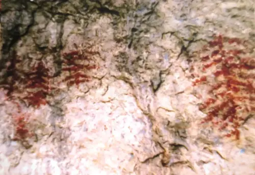 ARUP.-178-Arte-esquematico-Nerpio-Ramiformes