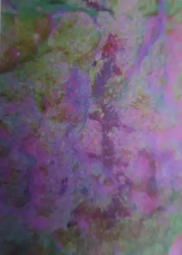 ARUP.-191-Arte-esquematico-Alcaraz-abrigo-de-Los-Batanes-Ramiforme