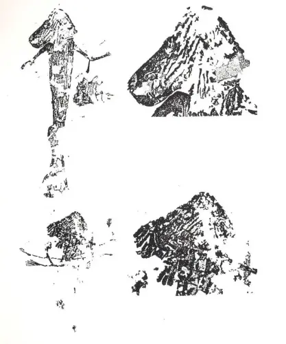 PIN-107a-Tocados-triangulares-en-Letur