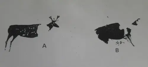 PIN-110a-Naturalista-y-naturalista-compacto