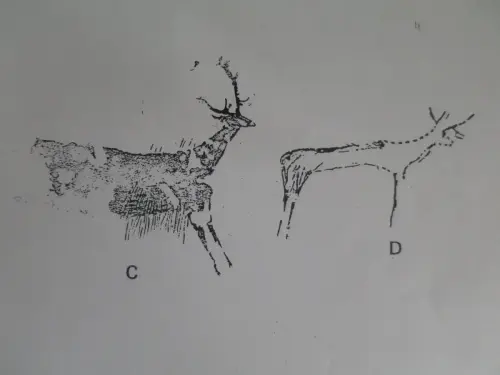 PIN-110c-Naturalista-estilizado-y-puramente-estilizado