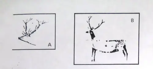 PIN-111a-Silueteado-y-silueteado-con-relleno-parcial-cabeza-y-patas