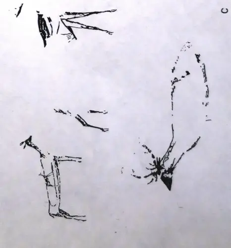 PIN-111c-Silueteado-con-relleno-parcial-y-trazos