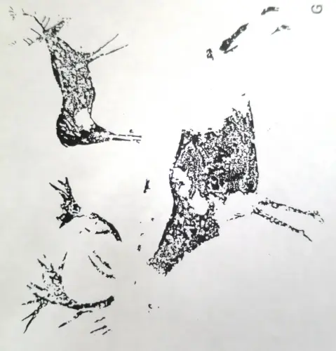 PIN-111cc-Silueteado-con-relleno-a-tinta-plana-y-trazos