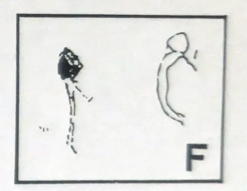 PIN-111f-Figuras-de-doble-trazo-con-rasgos-esquematicos