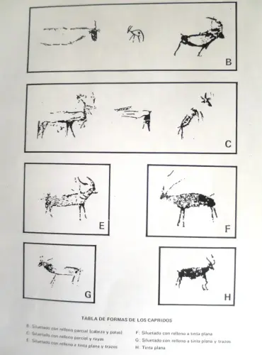PIN-113-Tabla-de-formas-de-los-capridos