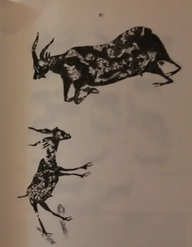 PIN-113a-Capridos-joven-y-adulto-Abrigo-de-la-Hoz-Nerpio