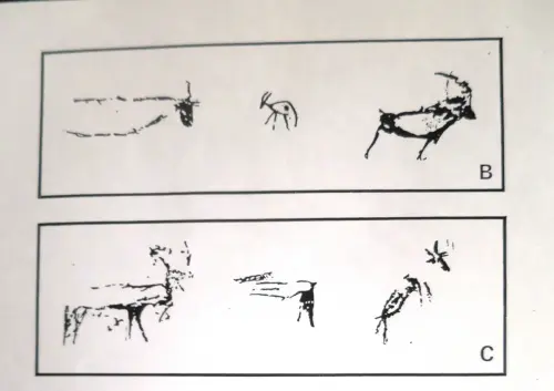 PIN-113a-Tabla-de-formas-de-los-capridos
