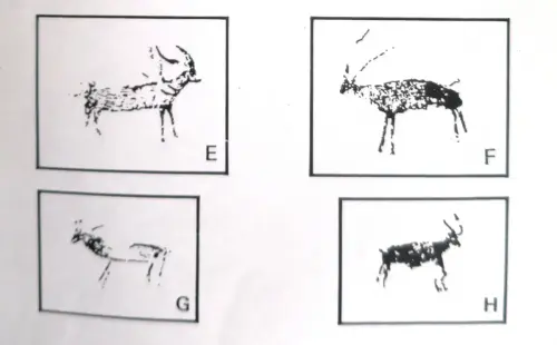 PIN-113b-Tabla-de-formas-de-los-capridos