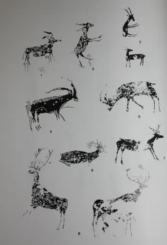 PIN-114-Cuadrupedos-cervidos-y-capridos-en-Nerpio