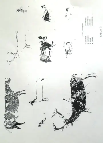 PIN-114b-Tabla-2-fauna-de-Solana