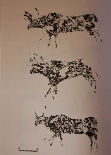 PIN-115a-Toros-en-la-Cueva-de-la-Vieja