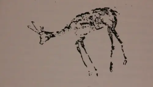 PIN-116-Gamuza-o-rebeco-en-Prado-del-Tornero-Nerpio