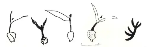 PIN-120-Figuras-mas-controvertidas-en-Letur