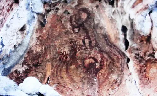 PIN-124b-Orantes-en-Pla-de-Petracos-Castell-de-Castells-Alicante-1