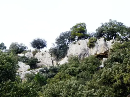 PIN-167-Letur-Sorbas