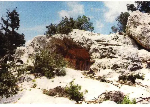 PIN-168-Letur-Sorbas