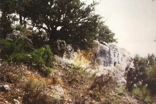 PIN-183-Las-Covachicas-Letur