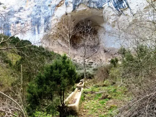 PIN-184-Fuente-del-Sauco