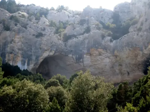 PIN-184a-Fuente-del-Sauco