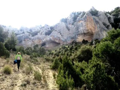 PIN-184b-Fuente-del-Sauco