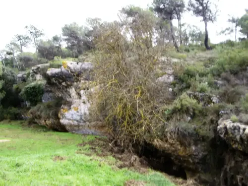 PIN-186-Barranco-del-Cabezo-del-Moro-Almansa