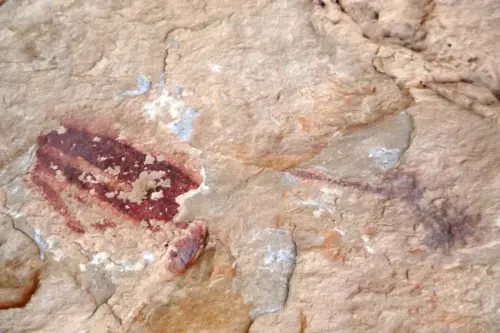 PIN-187-Sugel-cerca-del-Cabezo-del-Moro-Almansa