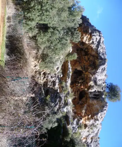 PIN-188c-Casas-de-Lazaro-Abrigos-del-cerro-del-Borboton