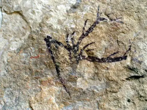 PIN-197a-Solana-de-las-Covachas-Nerpio