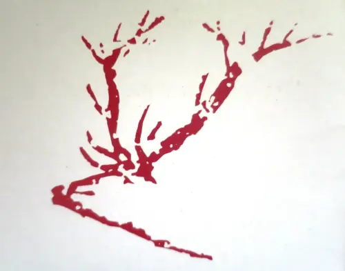 PIN-197b-Solana-de-las-Covachas-Nerpio