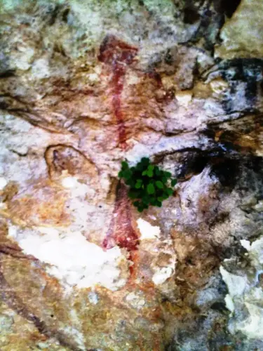 PIN-202-Solana-de-las-Covachas-Nerpio