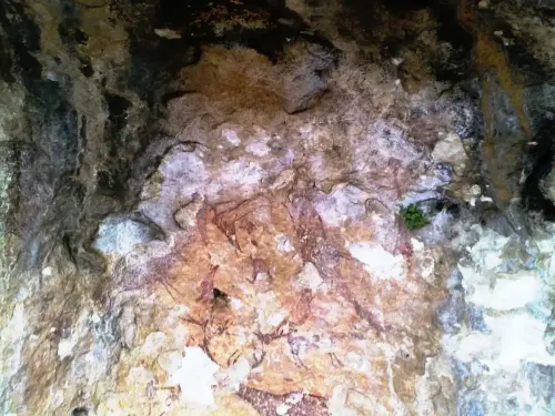 PIN-203-Solana-de-las-Covachas-Nerpio