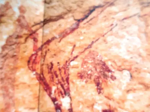 PIN-203d-Solana-de-las-Covachas-Nerpio