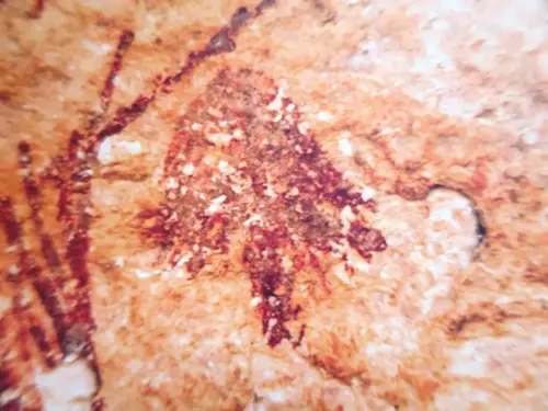 PIN-203e-Solana-de-las-Covachas-Nerpio