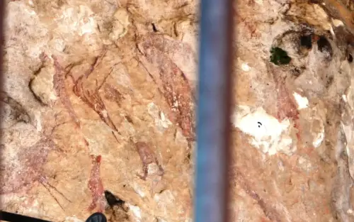 PIN-203h-Solana-de-las-Covachas-Nerpio