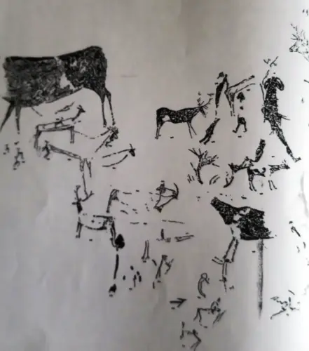 PIN-204-Solanazona-6