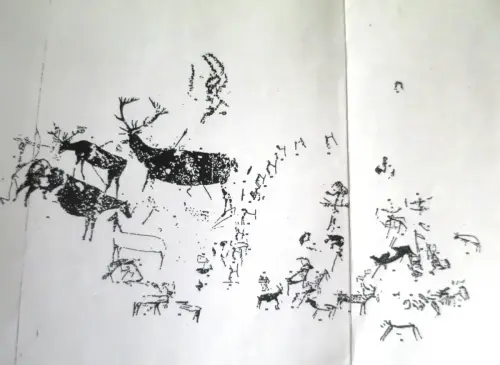 PIN-204a-Solanazona-3