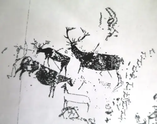 PIN-204b-Solanazona-3-Izquierda