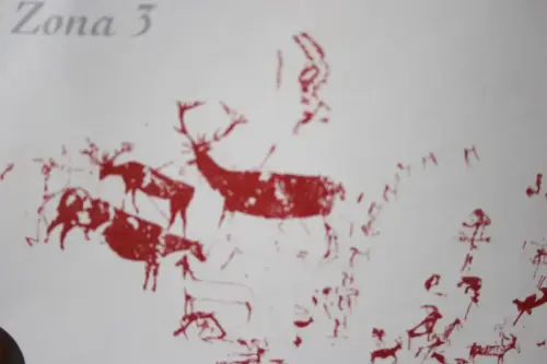 PIN-204bb-Solanazona-3-Izquierda