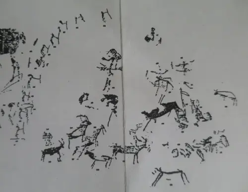 PIN-204c-Solana-zona-3-Centro