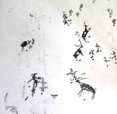 PIN-204d-Solana-zona-3-Derecha