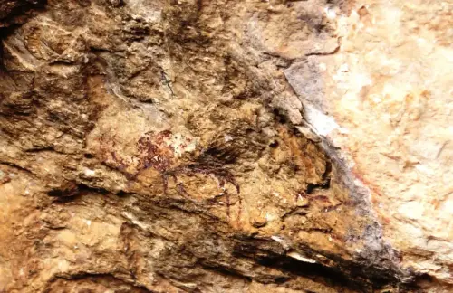 PIN-219-Torcal-de-Las-Bojadillas-Nerpio